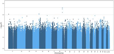 Association of common genetic variants with chronic axonal polyneuropathy in the general population: a genome-wide association study